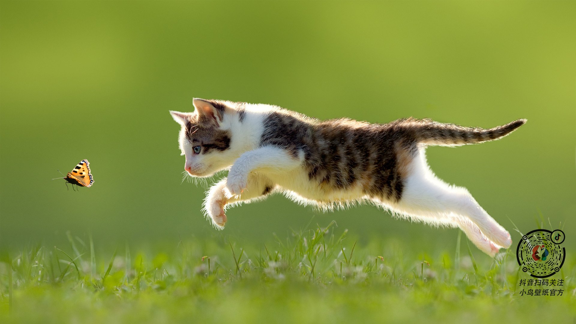 _跨界运动+舞台剧:艺术与运动的创新融合_,舞台剧创意