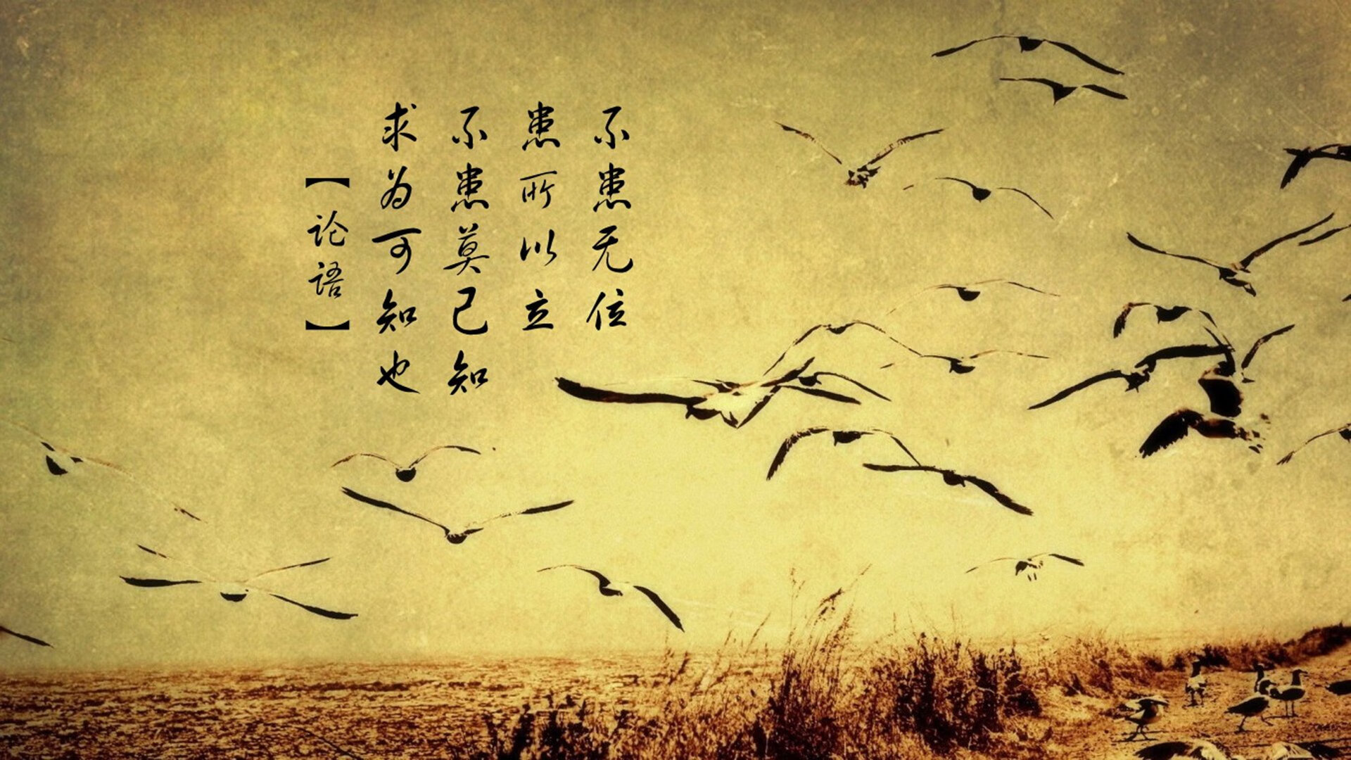 _迈阿密大师赛:德约PK纳达尔,经典大战令人难忘_,迈阿密大师赛2021决赛