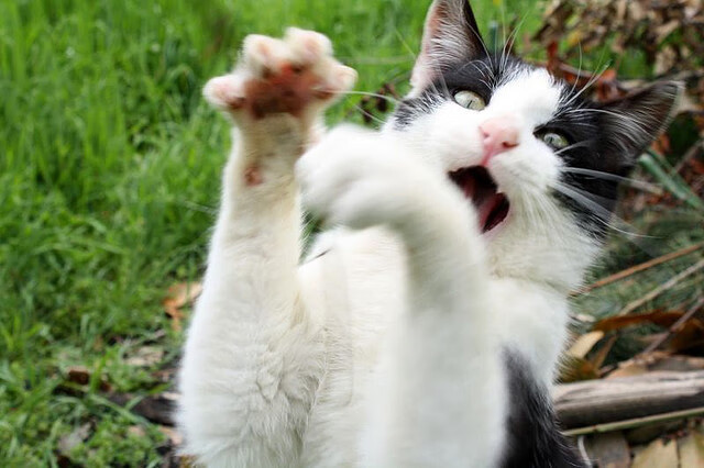 【长青传奇】奥沙利文:坚持训练的日常与心态调整,奥沙利文训练视频